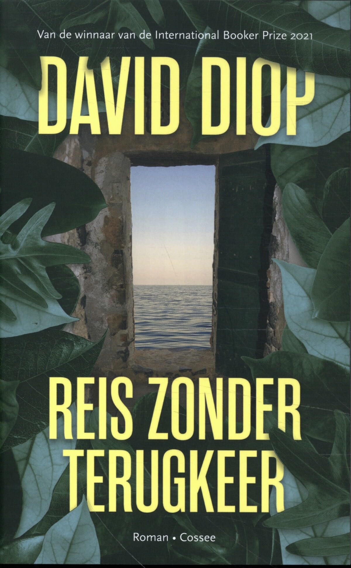 Reis zonder terugkeer, of De verborgen cahiers van Michel Adanson: roman International