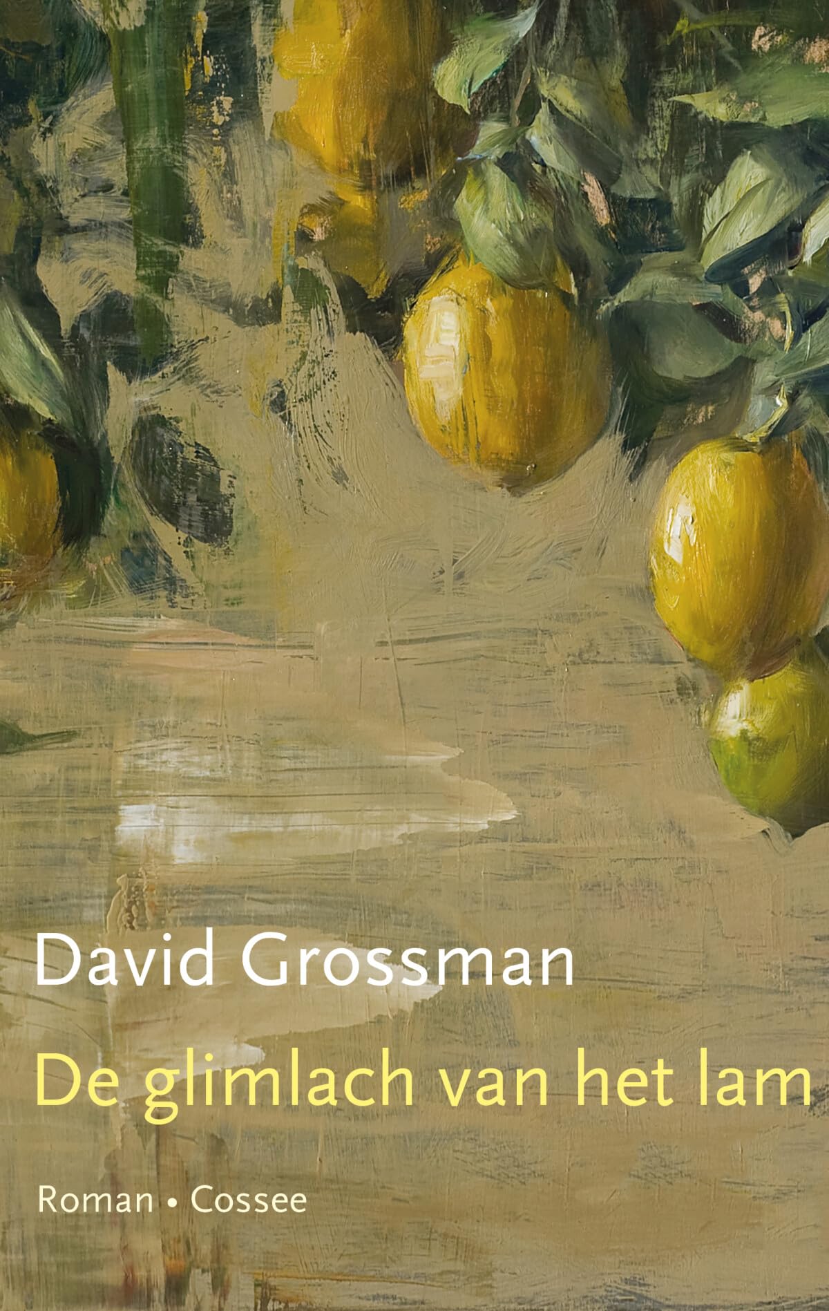 Product Image: De glimlach van het lam: roman