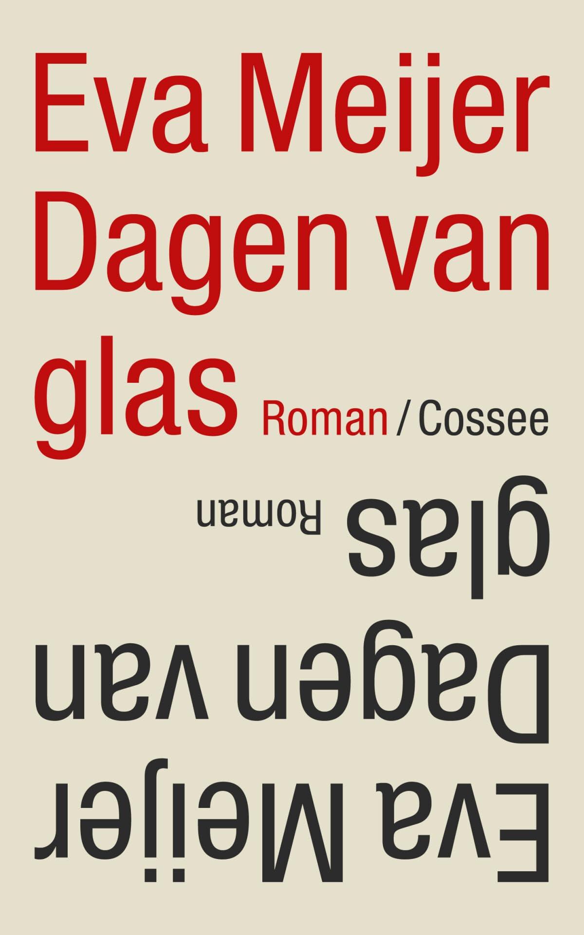 Dagen van glas: roman book