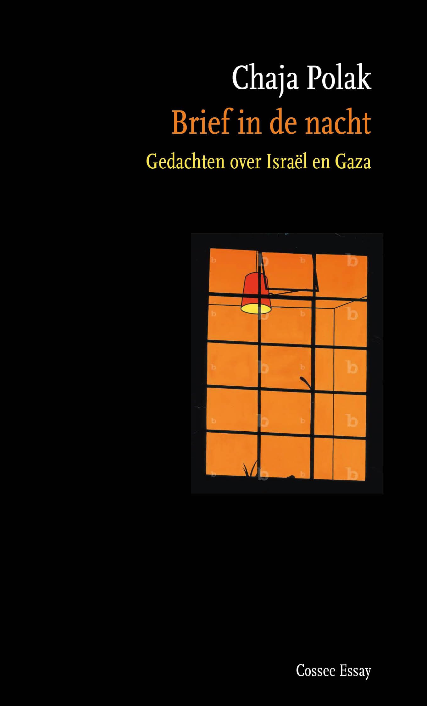 Brief in de nacht: gedachten over Israël en Gaza book