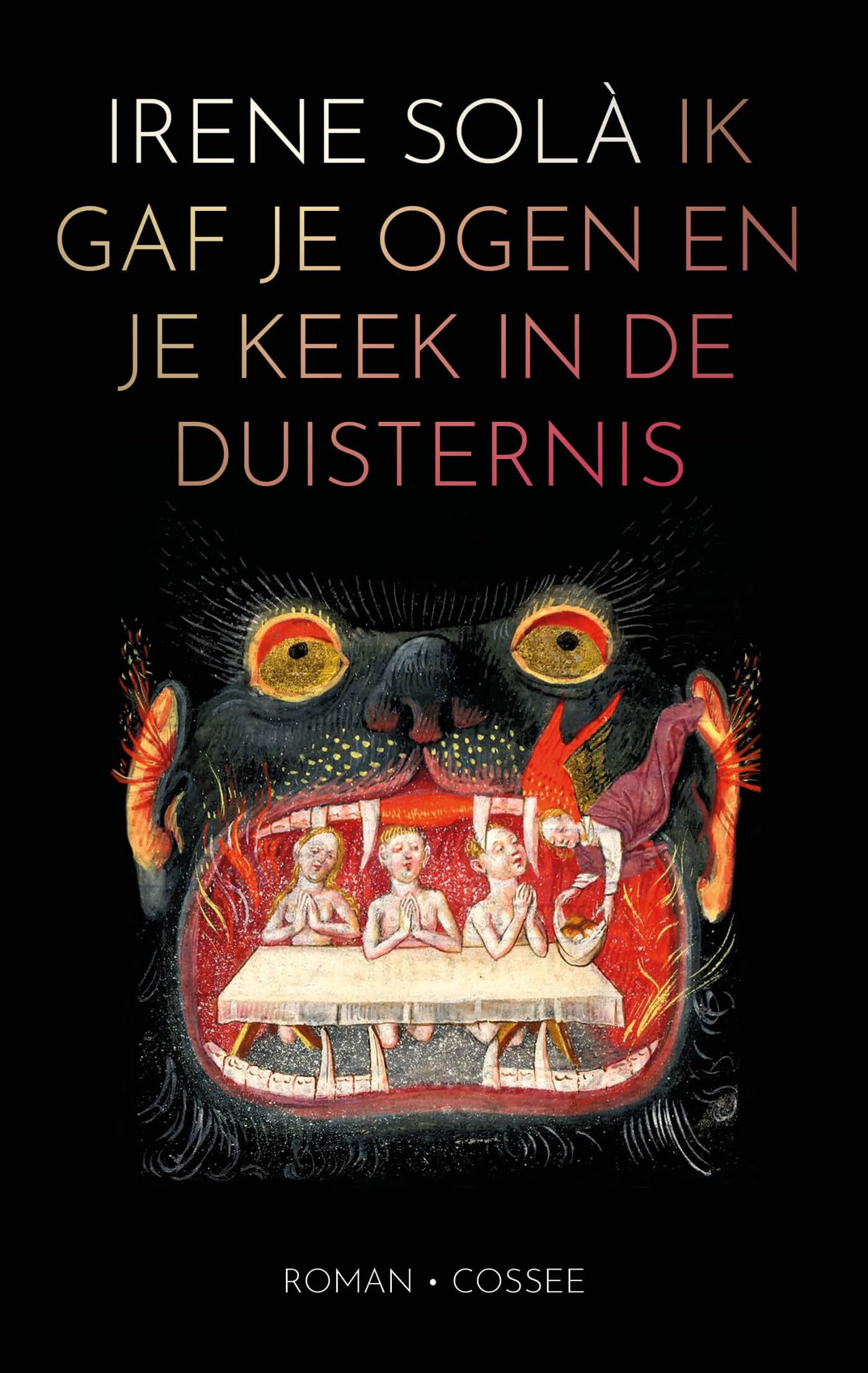 Ik gaf je ogen en je keek in de duisternis: roman book