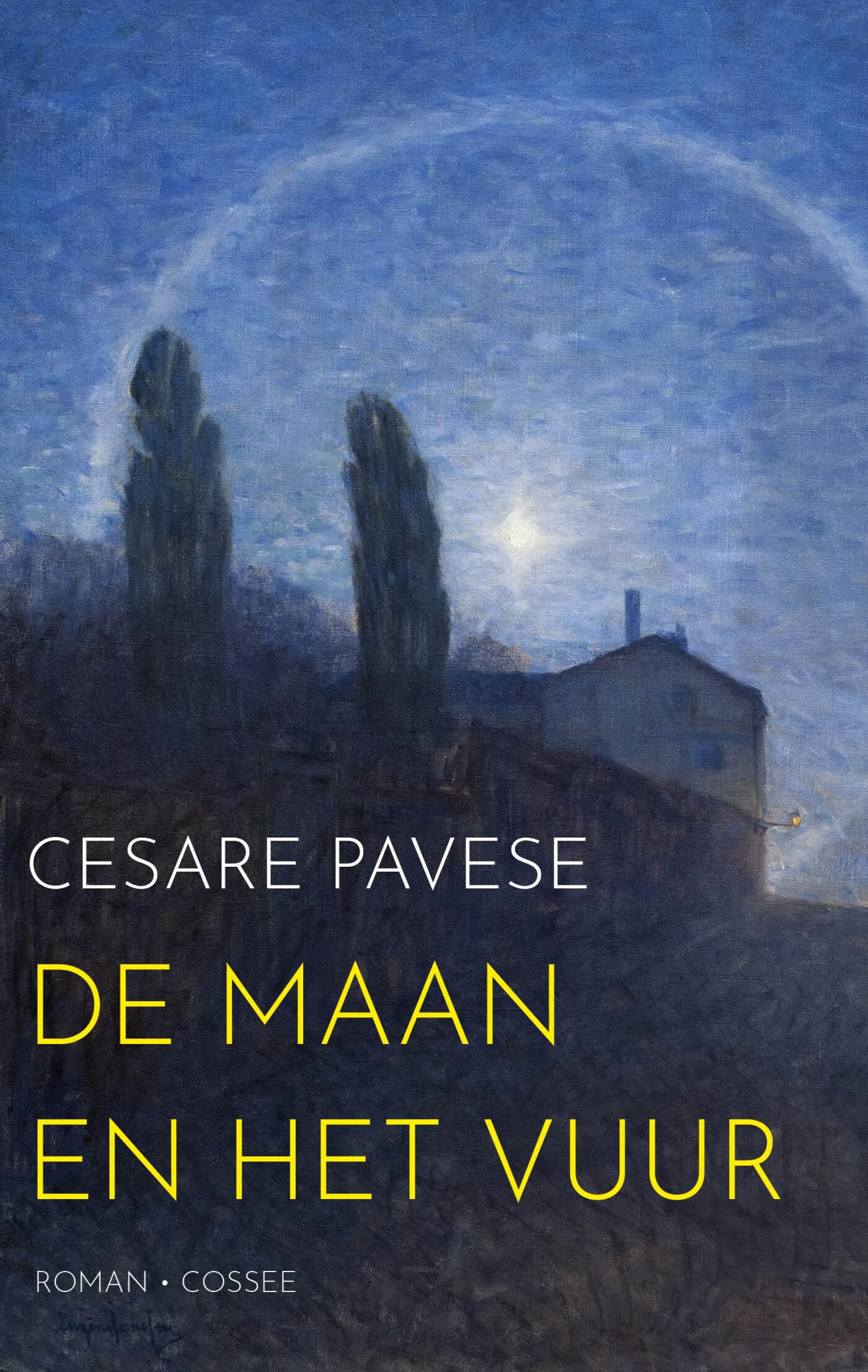 De maan en het vuur: roman book
