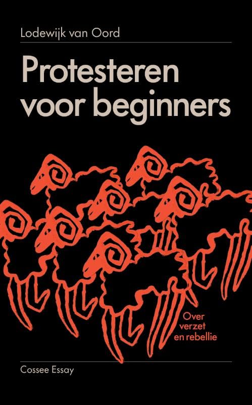 Protesteren voor beginners: Over verzet en rebellie Politics & History