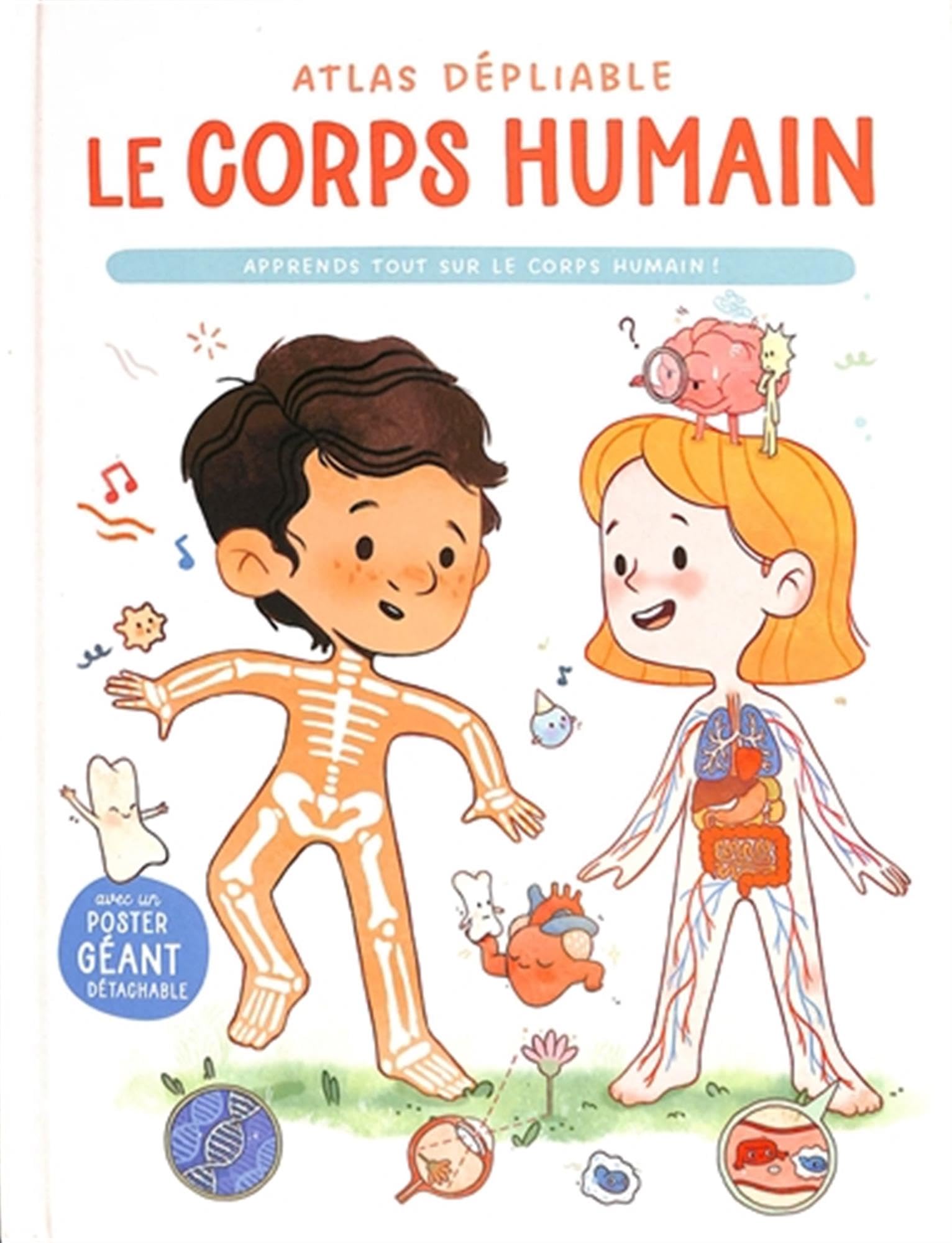 Le corps humain atlas dépliable book