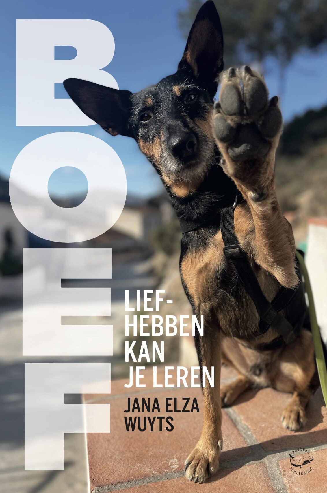 Boef: liefhebben kan je leren Pets