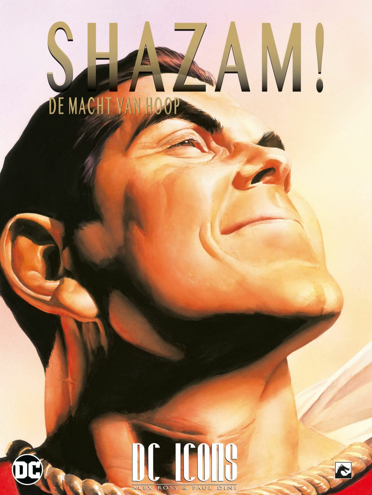 DC Icons 4: Shazam!: kracht van hoop book