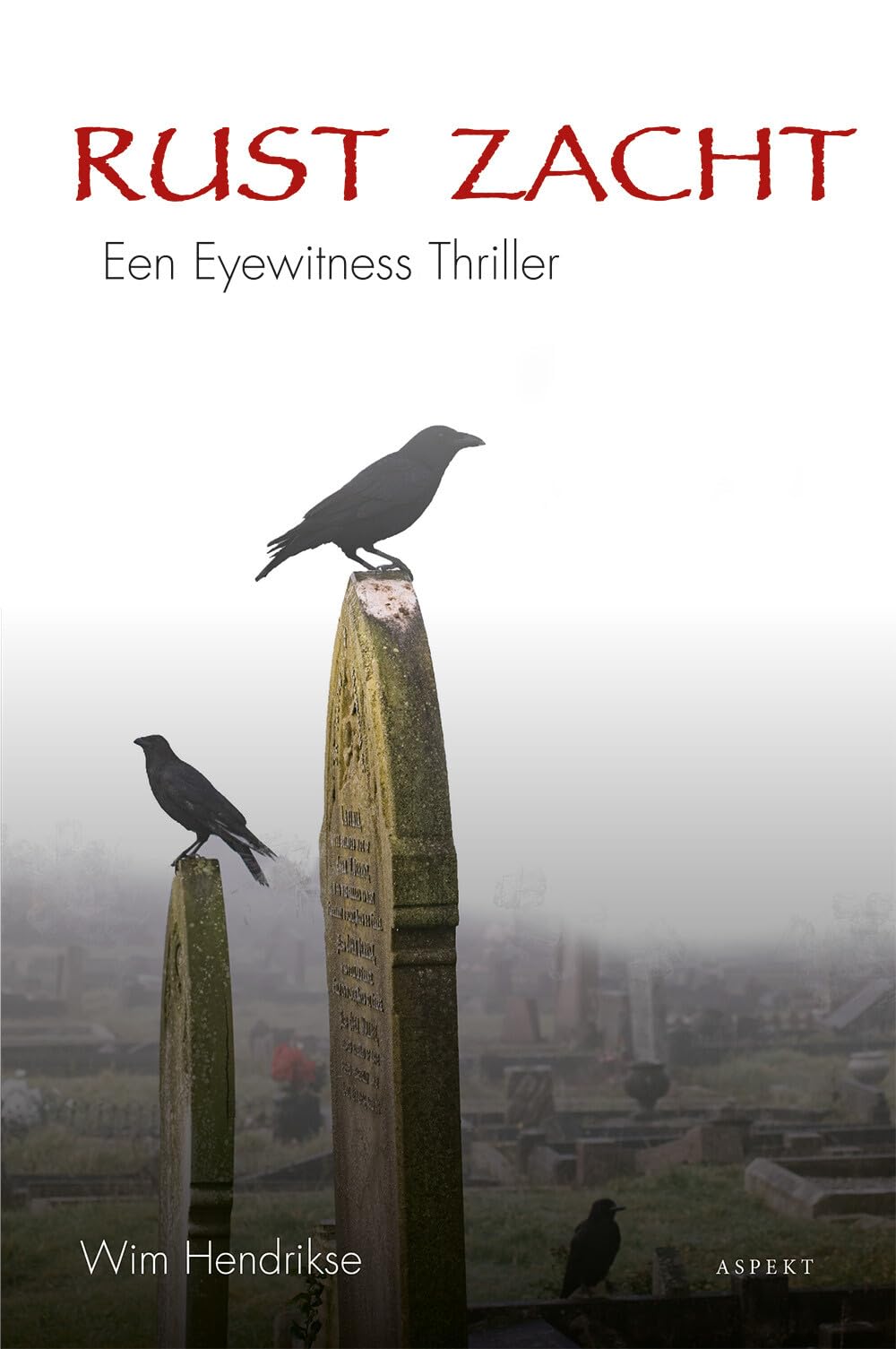 Rust Zacht: Een Eyewitness Thriller Contemporary literature