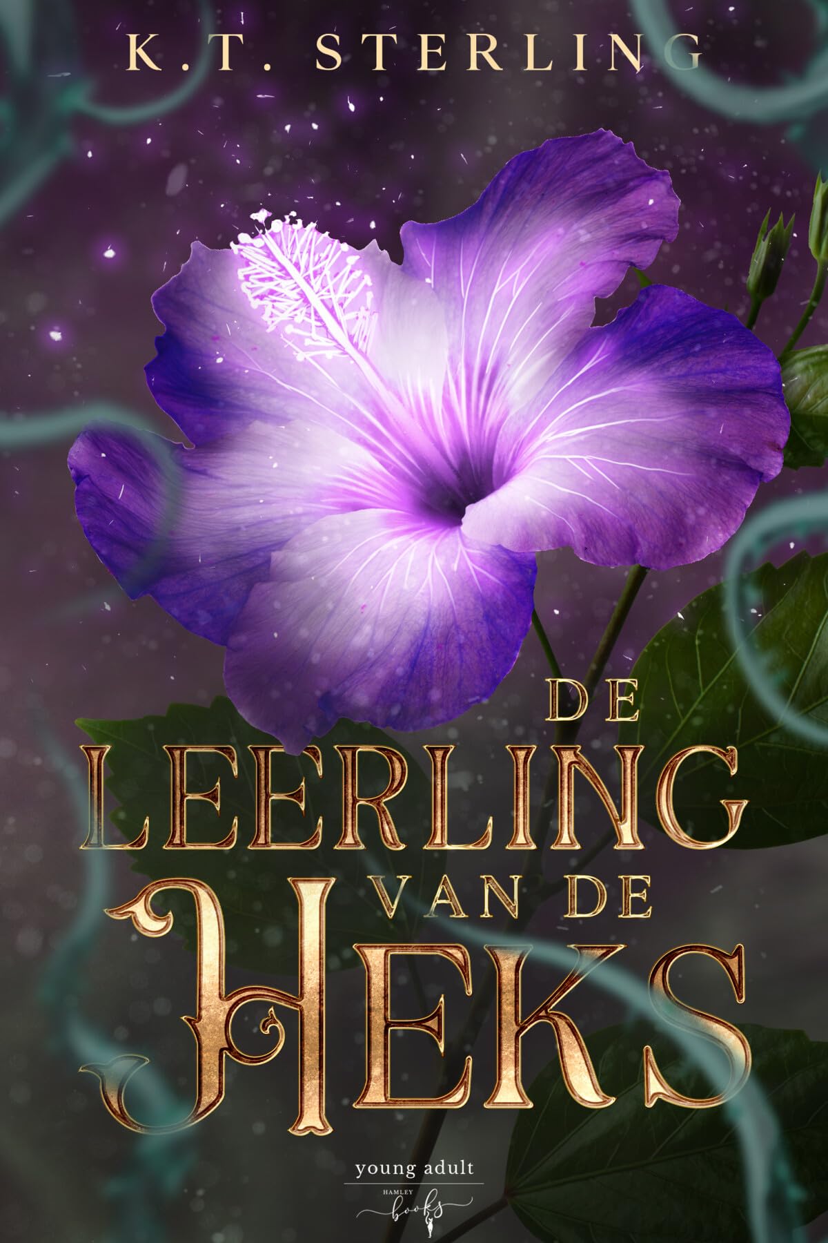 De leerling van de heks (Dochters van de fae, 2) Fantasy & Sci-Fi