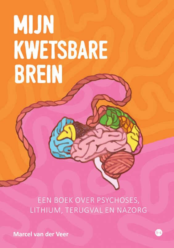 Mijn kwetsbare brein: Een boek over psychoses, lithium, terugval en nazorg. book