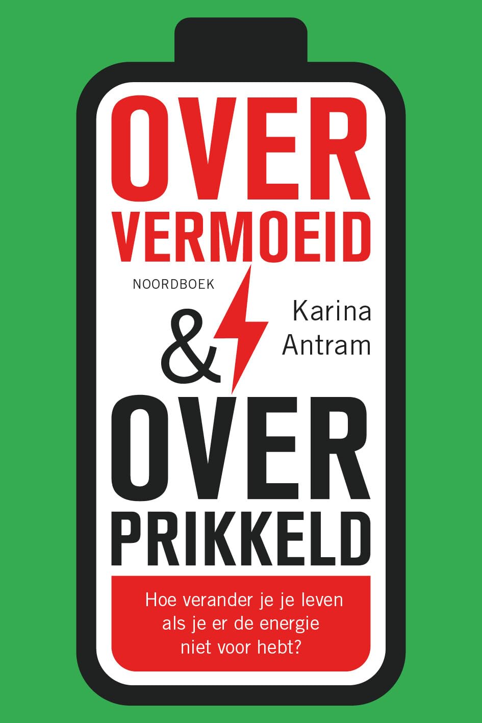 Oververmoeid & overprikkeld: hoe verander je je leven als je er de energie niet voor hebt? book