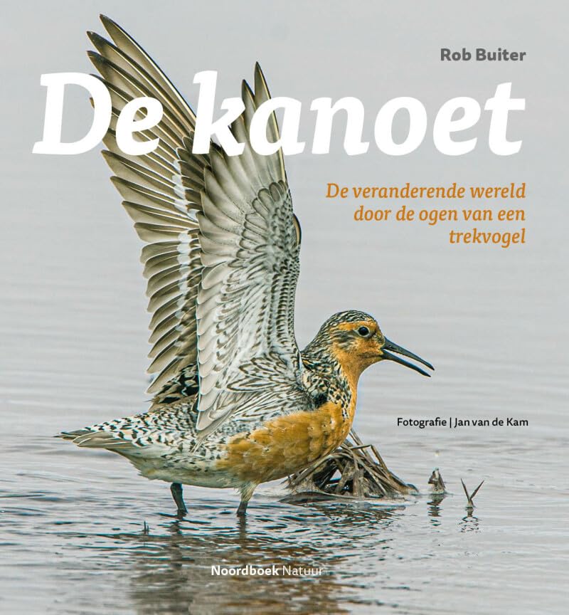 De kanoet: de veranderende wereld door de ogen van een trekvogel Mathematics