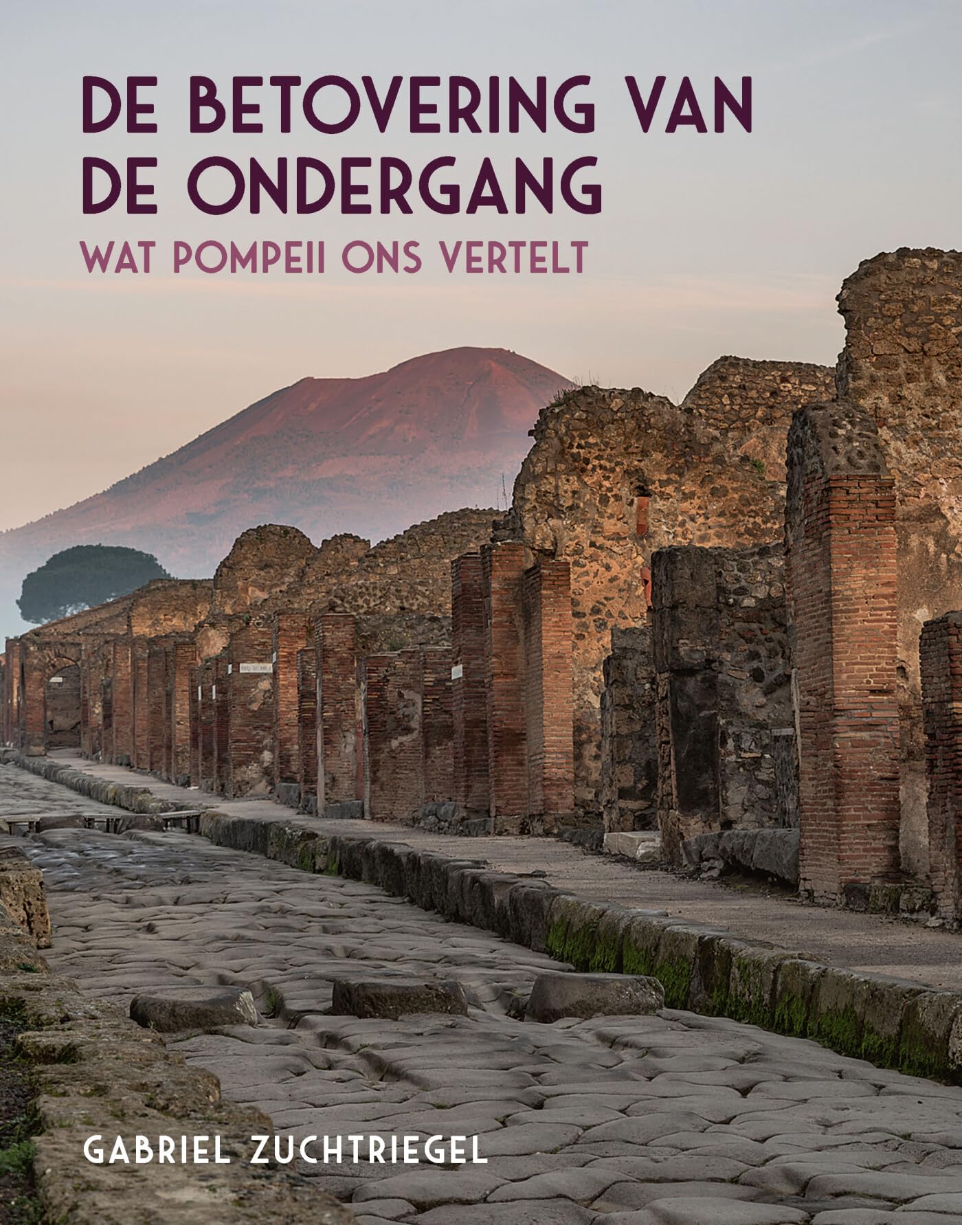 De betovering van de ondergang: wat Pompeii ons vertelt Mathematics