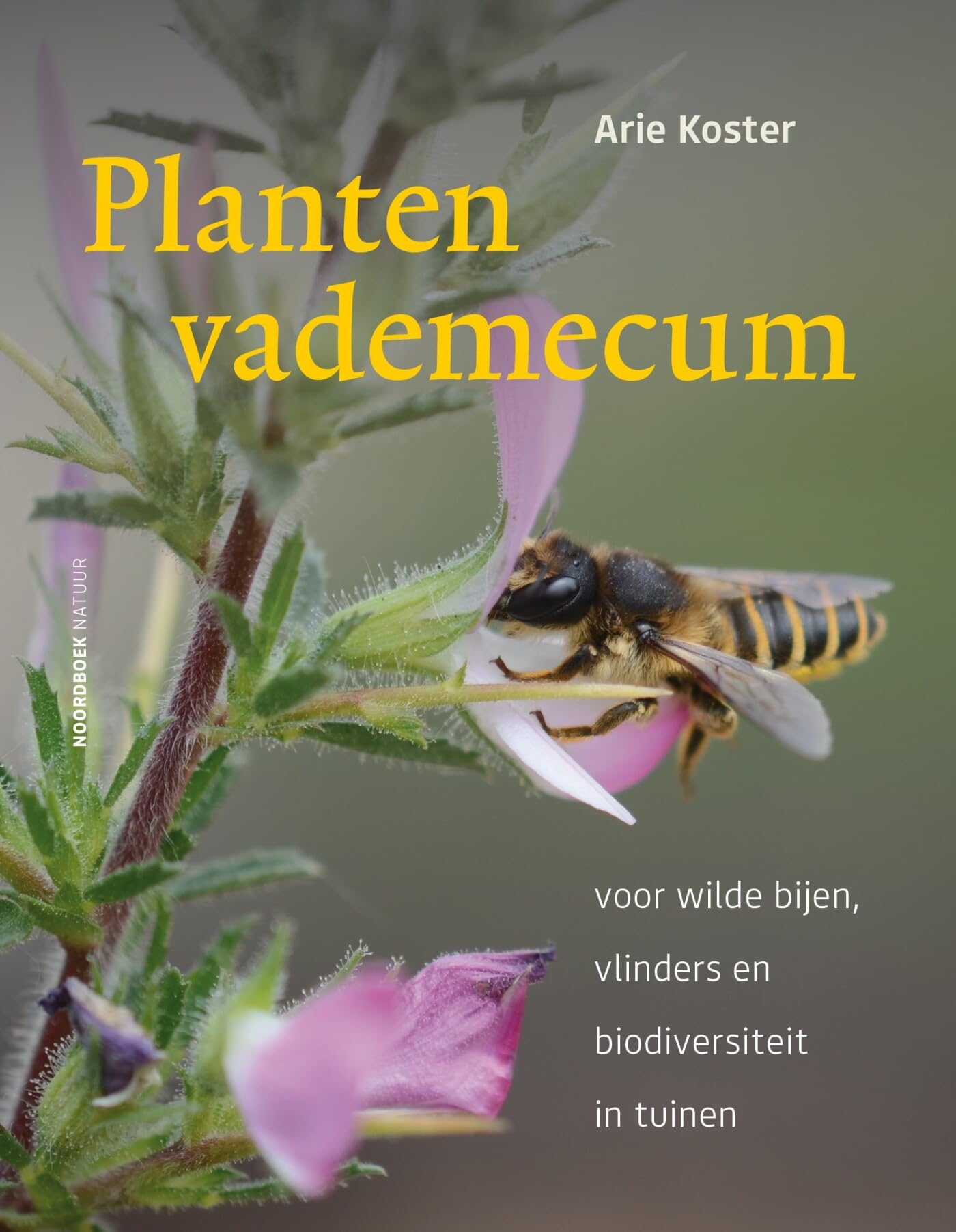 Plantenvademecum: voor wilde bijen, vlinders & biodiversiteit in tuinen book