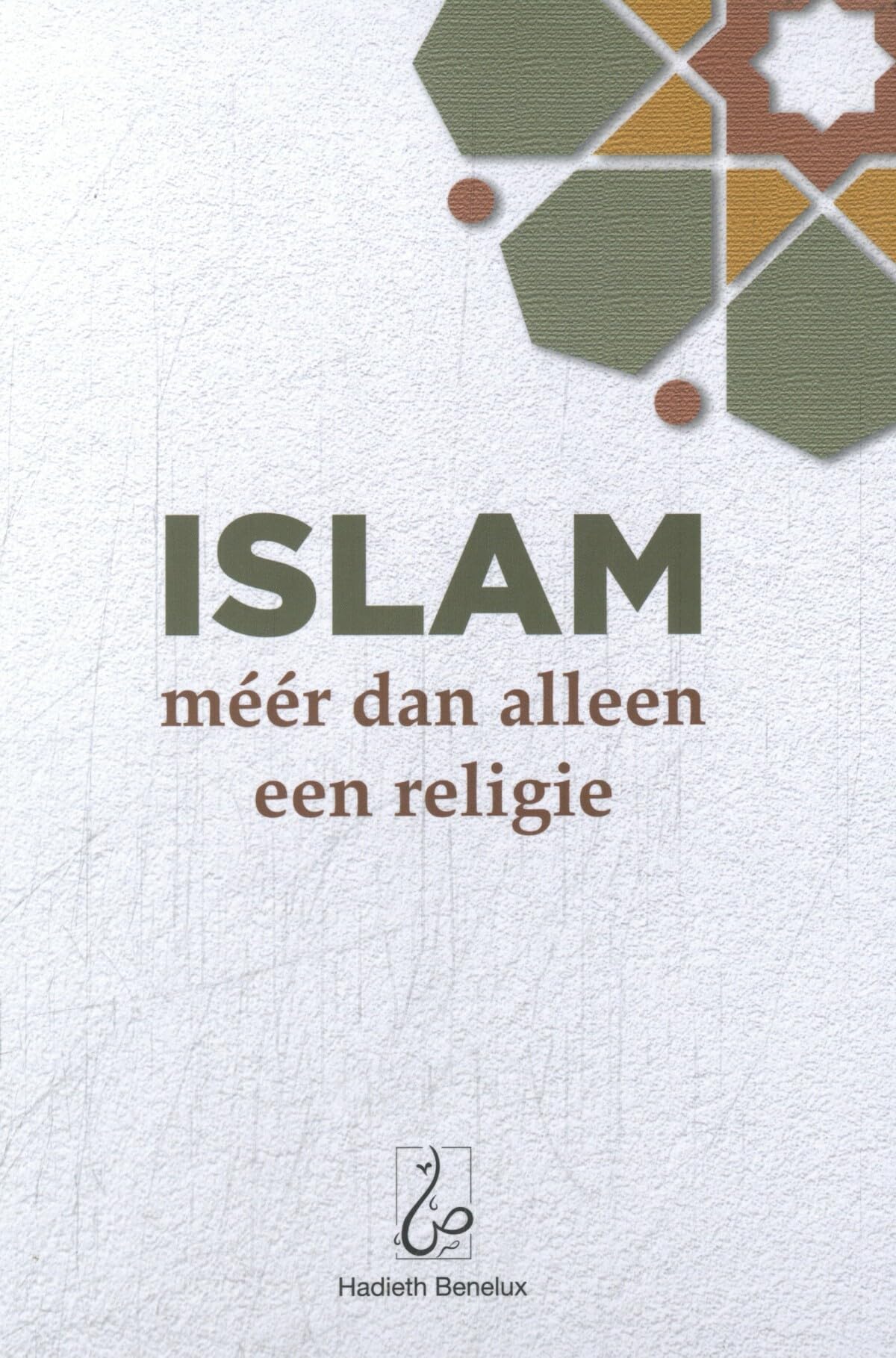 Islam: méér dan alleen een religie book