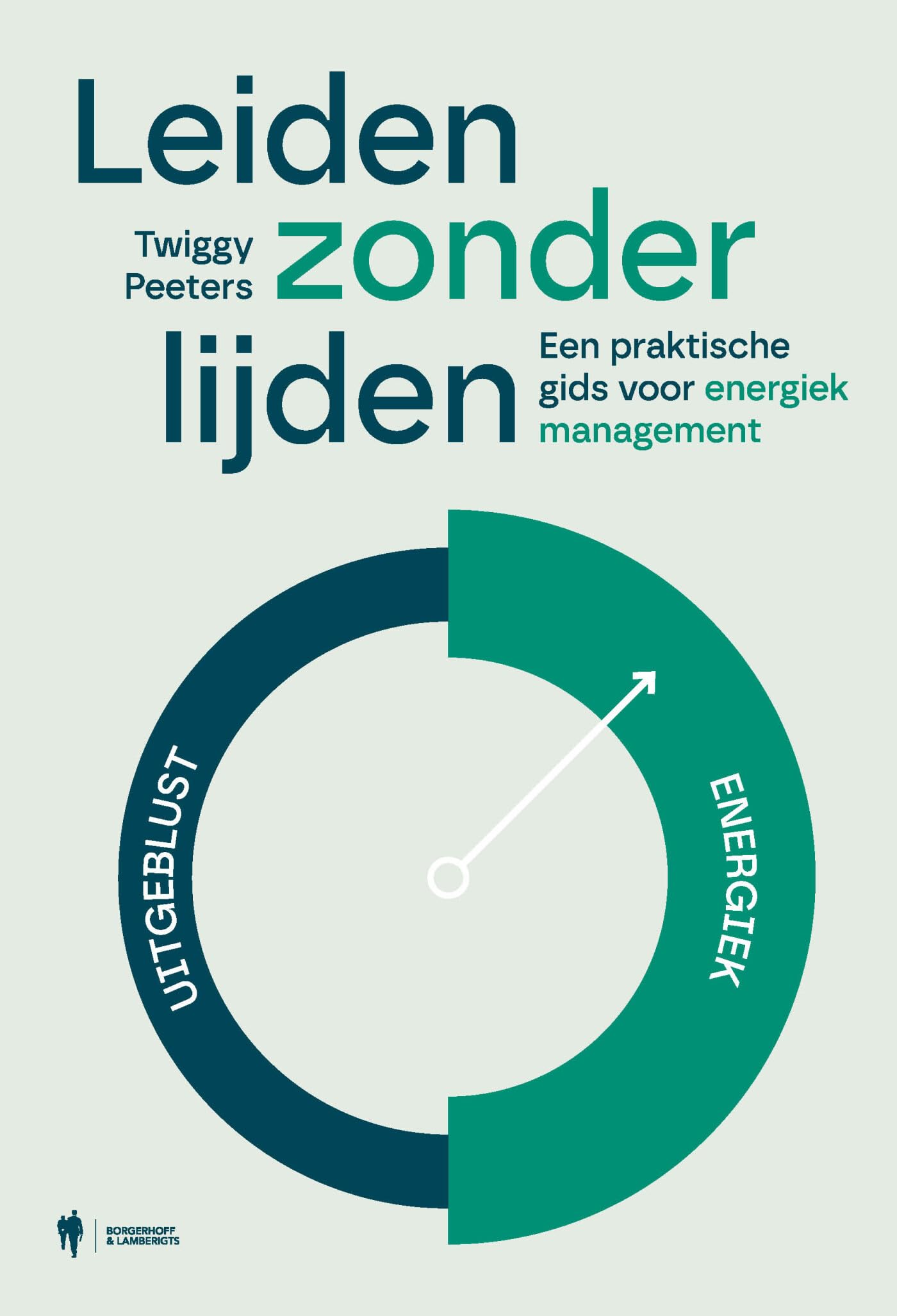 Leiden zonder lijden: een praktische gids voor energiek management book