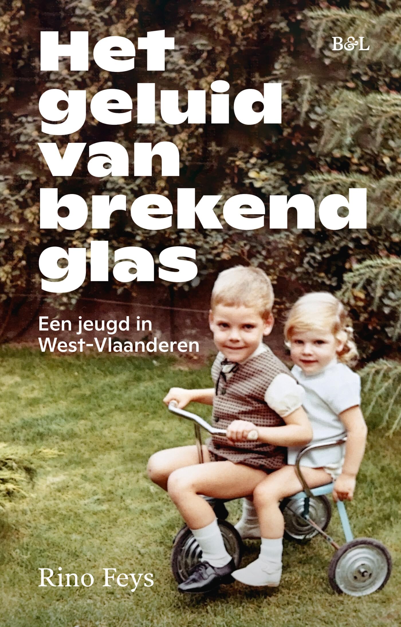 Het geluid van brekend glas: een jeugd in West-Vlaanderen book