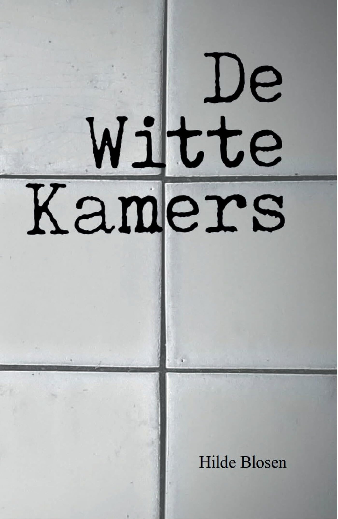 De Witte Kamers: Een donker mysterie in het Utrecht van 1893 book