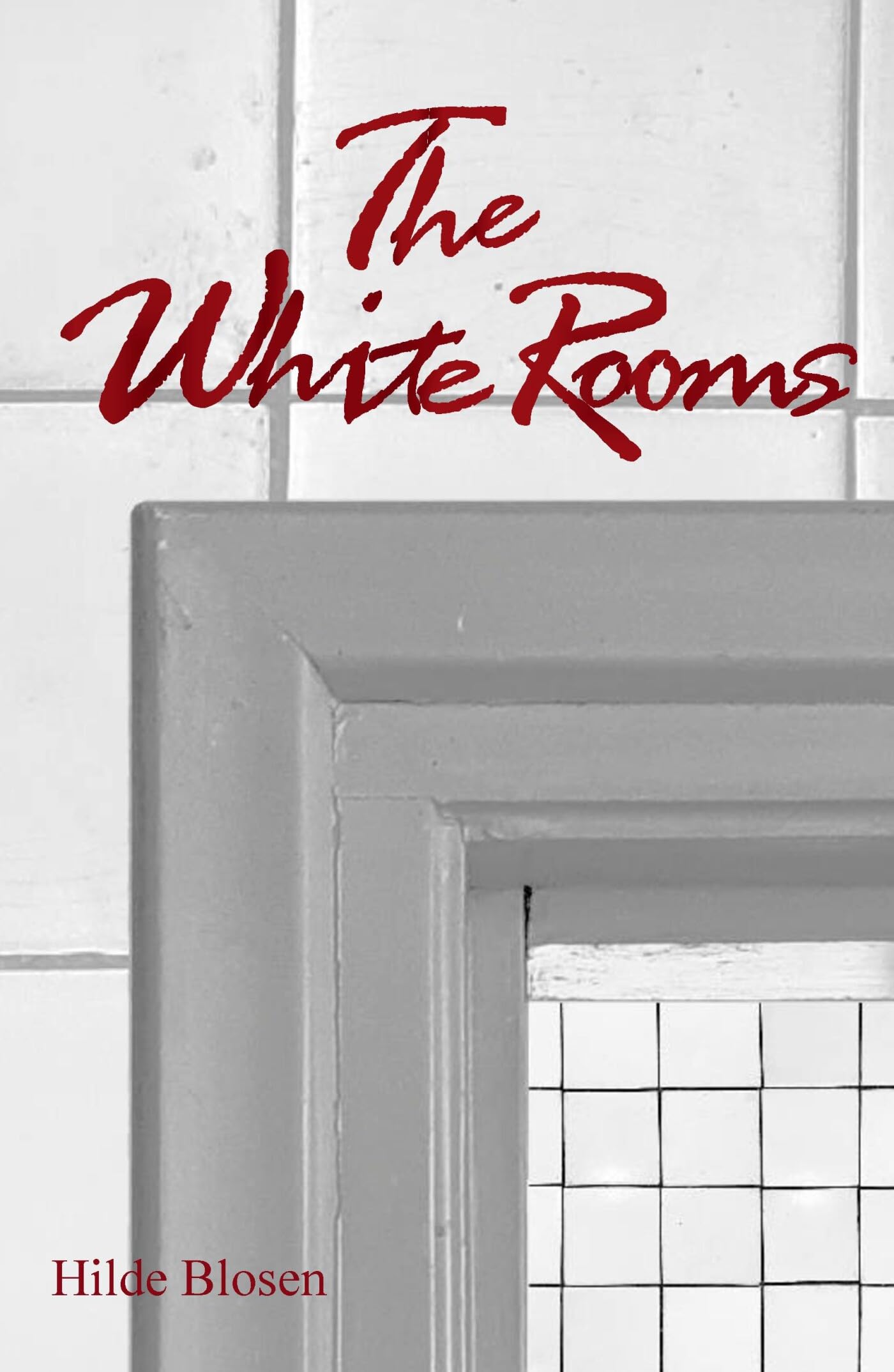 The White Rooms: A dark mystery in the Dutch city of Utrecht in 1893 Contemporary literature Books