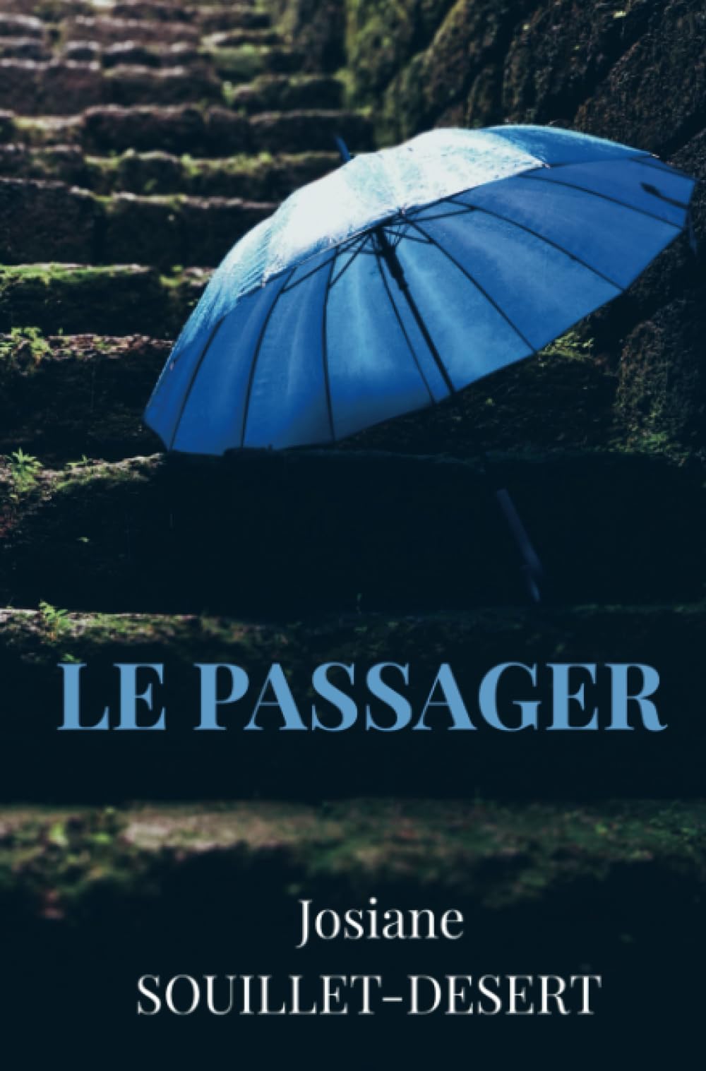 Product Image: Le passager