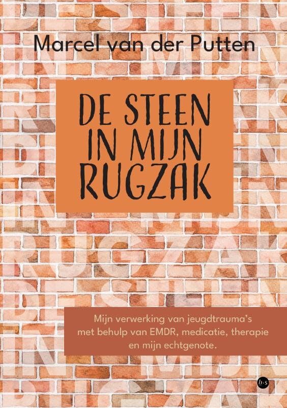 De steen in mijn rugzak: Mijn verwerking van jeugdtrauma's met behulp van EMDR, medicatie, therapie en mijn echtgenote book