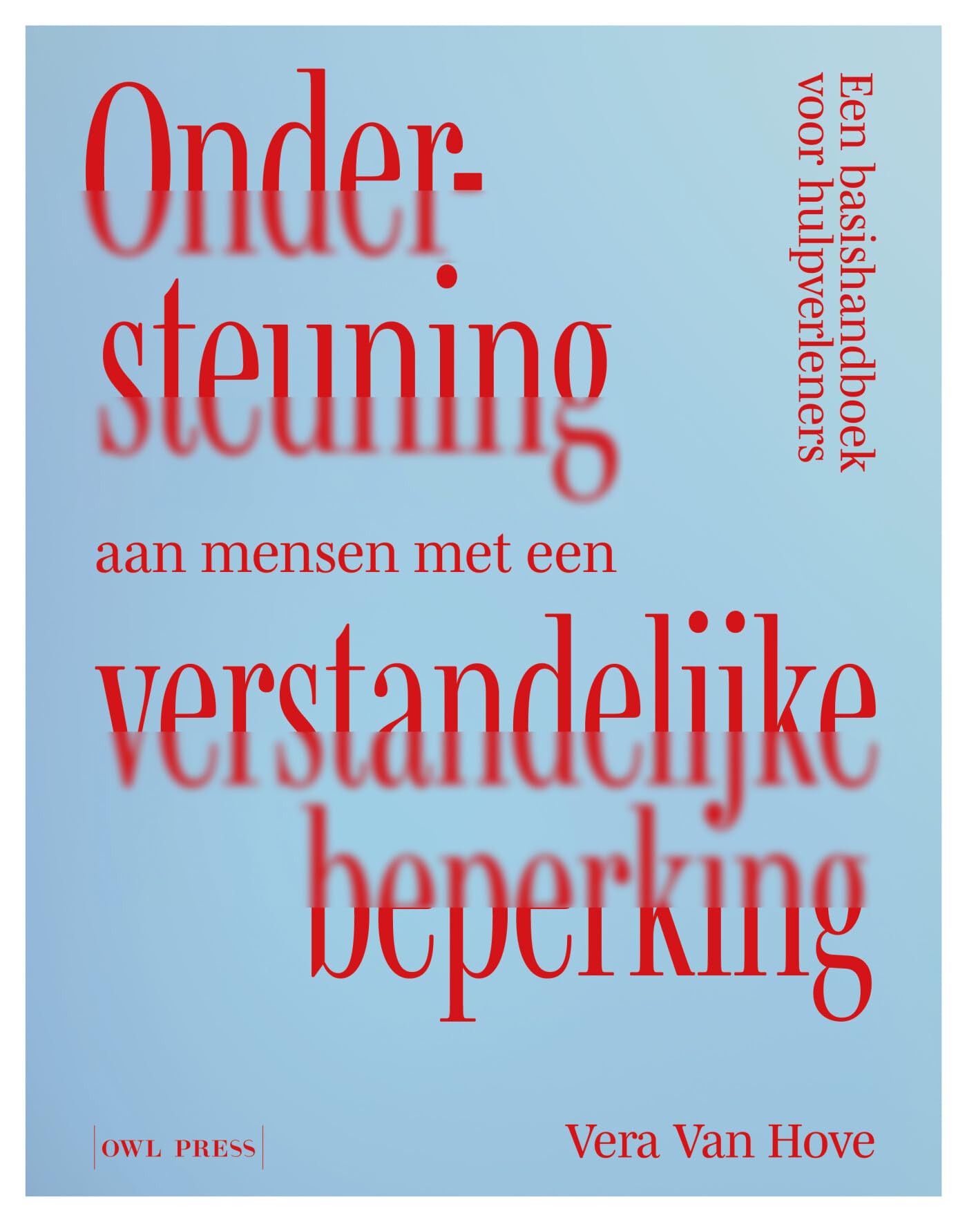 Ondersteuning aan mensen met een verstandelijke beperking book