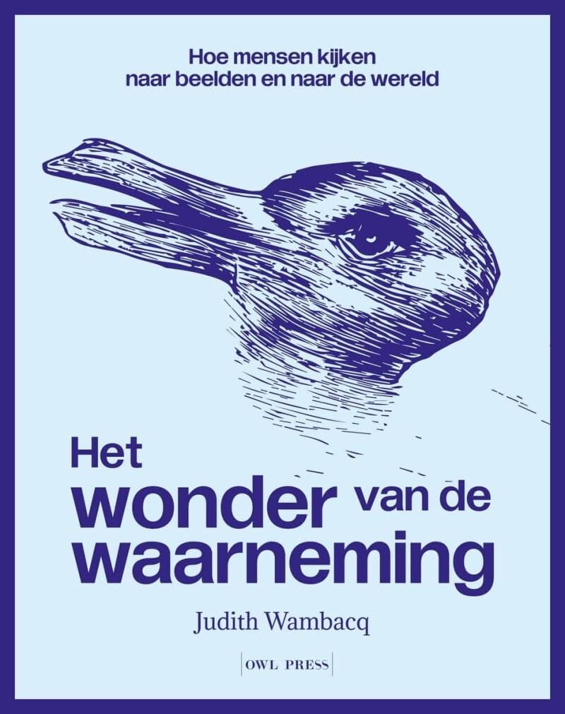 Het wonder van de waarneming: Hoe mensen kijken naar beelden en naar de wereld book