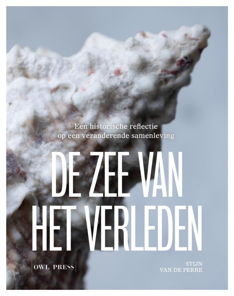 De zee van het verleden: Een historische reflectie op een veranderende samenleving book