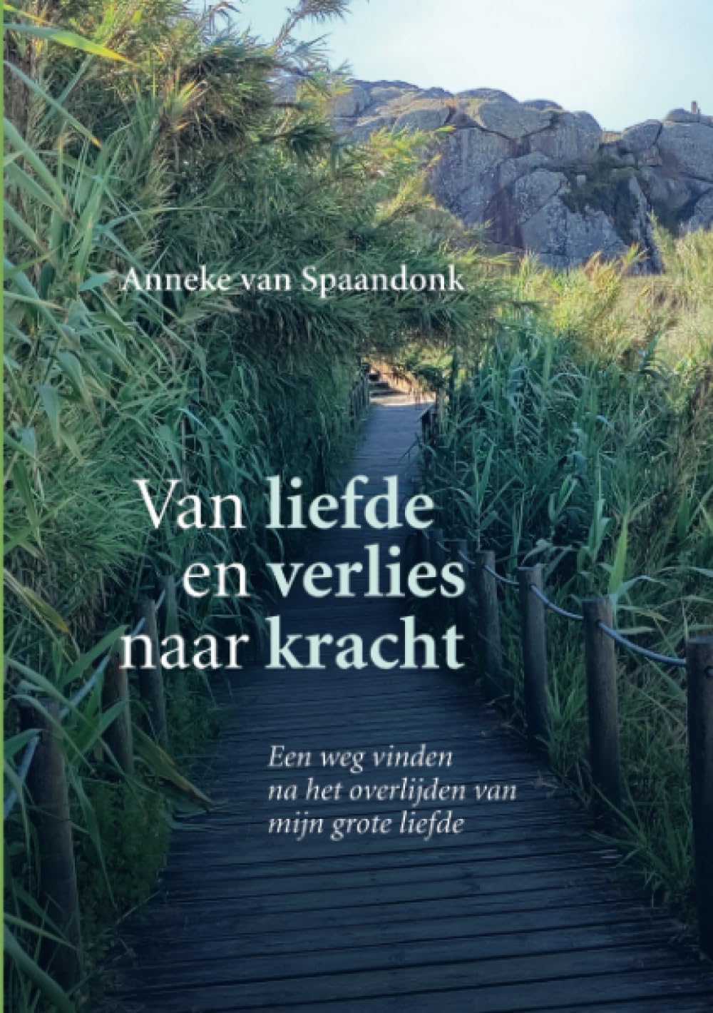 Van liefde en verlies naar kracht: Een weg vinden na het overlijden van mijn grote liefde book