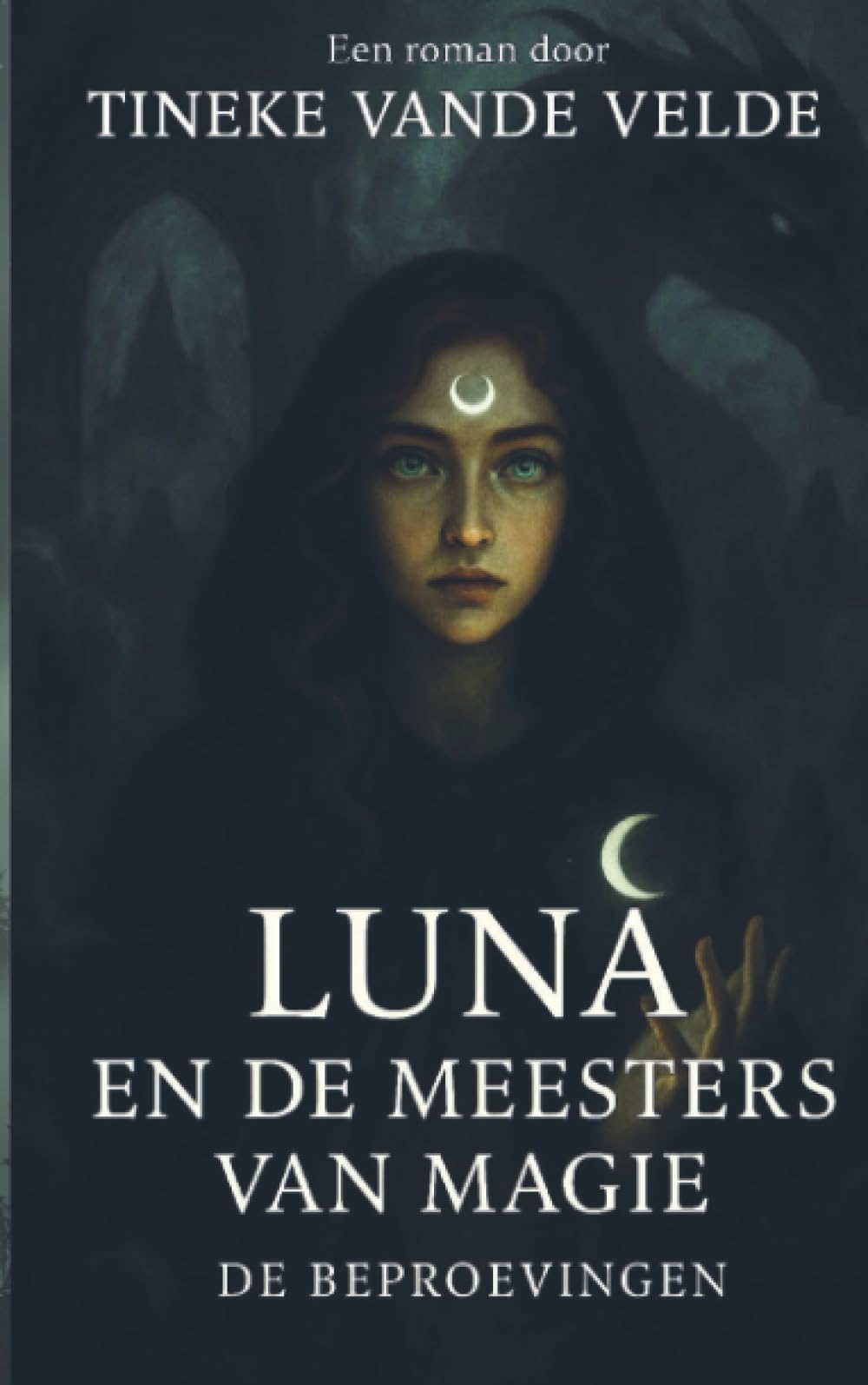 Luna En De Meesters Van Magie: De Beproevingen book