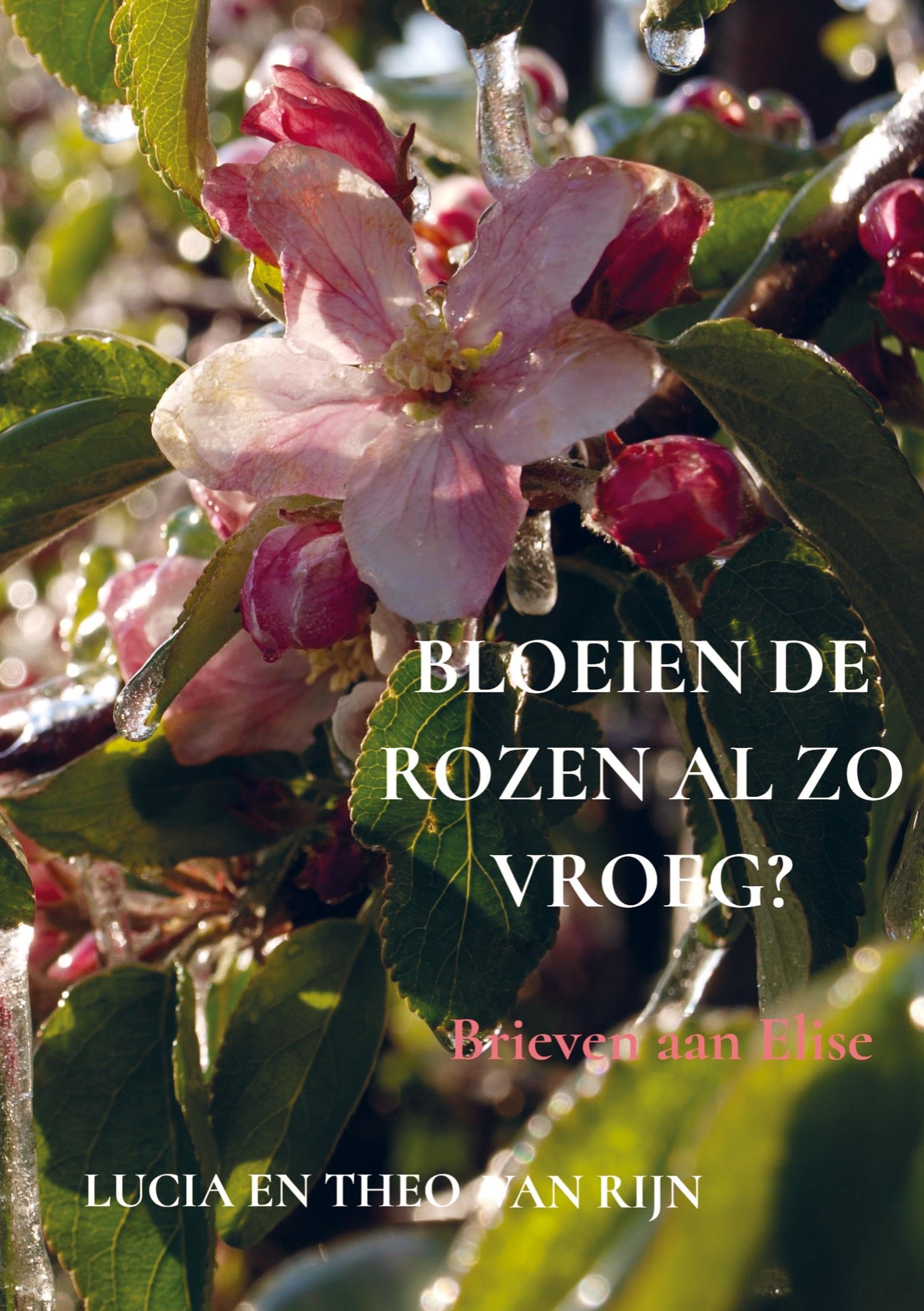 Bloeien de rozen al zo vroeg? Contemporary literature