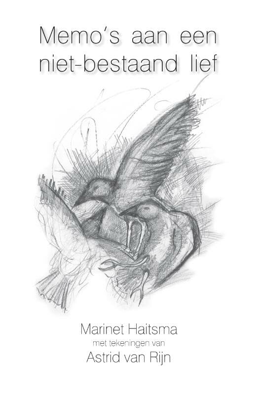 Memo's aan een niet-bestaand lief book