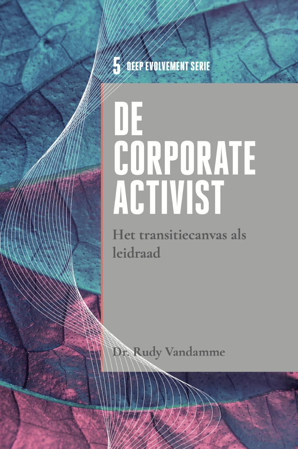 De corporate activist: Het transitiecanvas als leidraad book