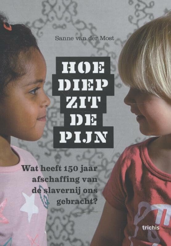 Hoe diep zit de pijn: wat heeft 150 jaar afschaffing van de slavernij ons gebracht? book