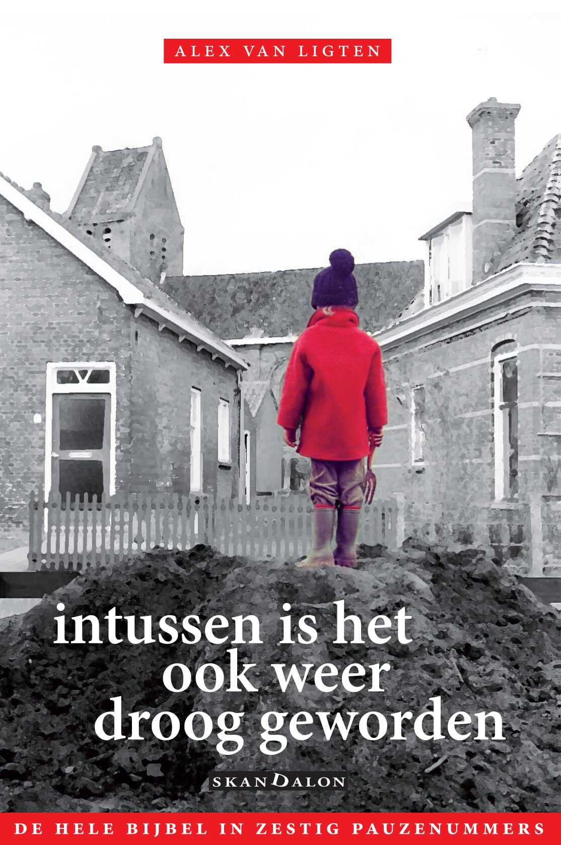 Intussen is het ook weer droog geworden: de hele bijbel in zestig pauzenummers Religion & Esotericism