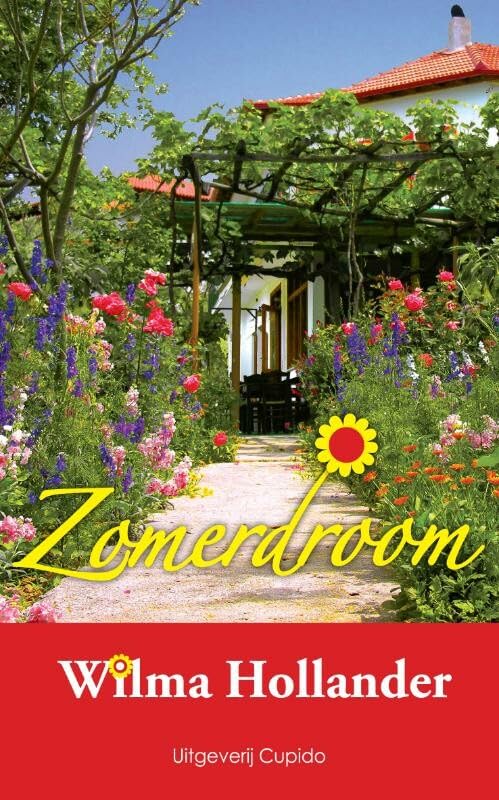 Zomerdroom: spannende liefdesroman book