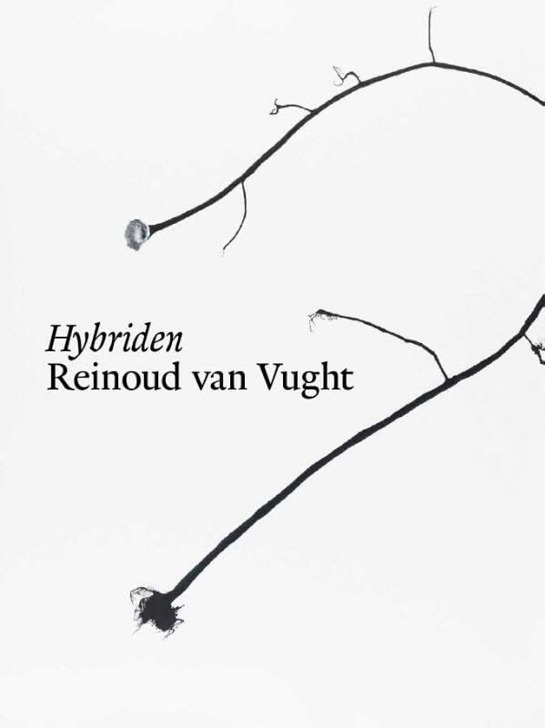 Hybriden: Reinoud van Vught : werken op papier 2013-2014 book