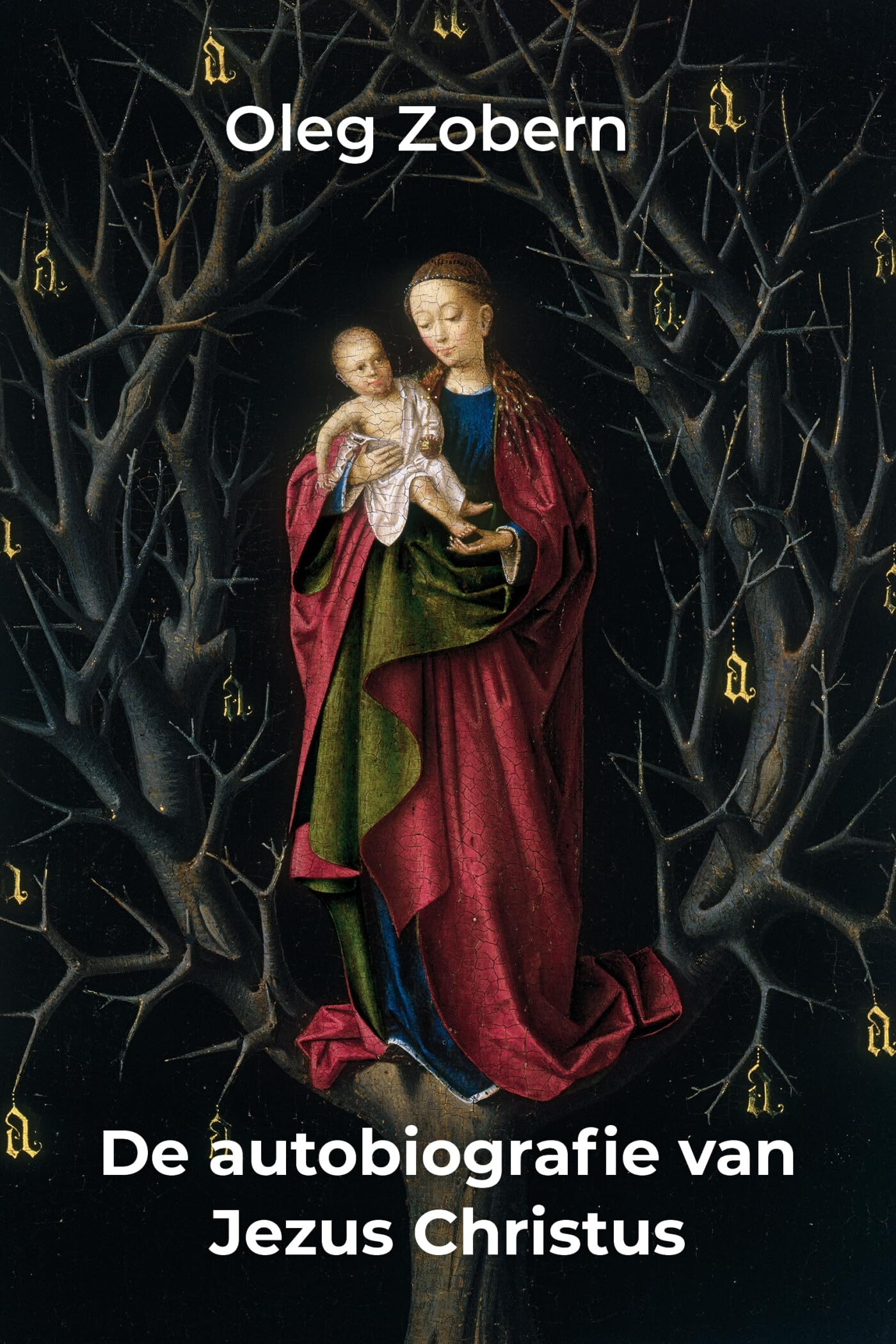 De autobiografie van Jezus Christus book