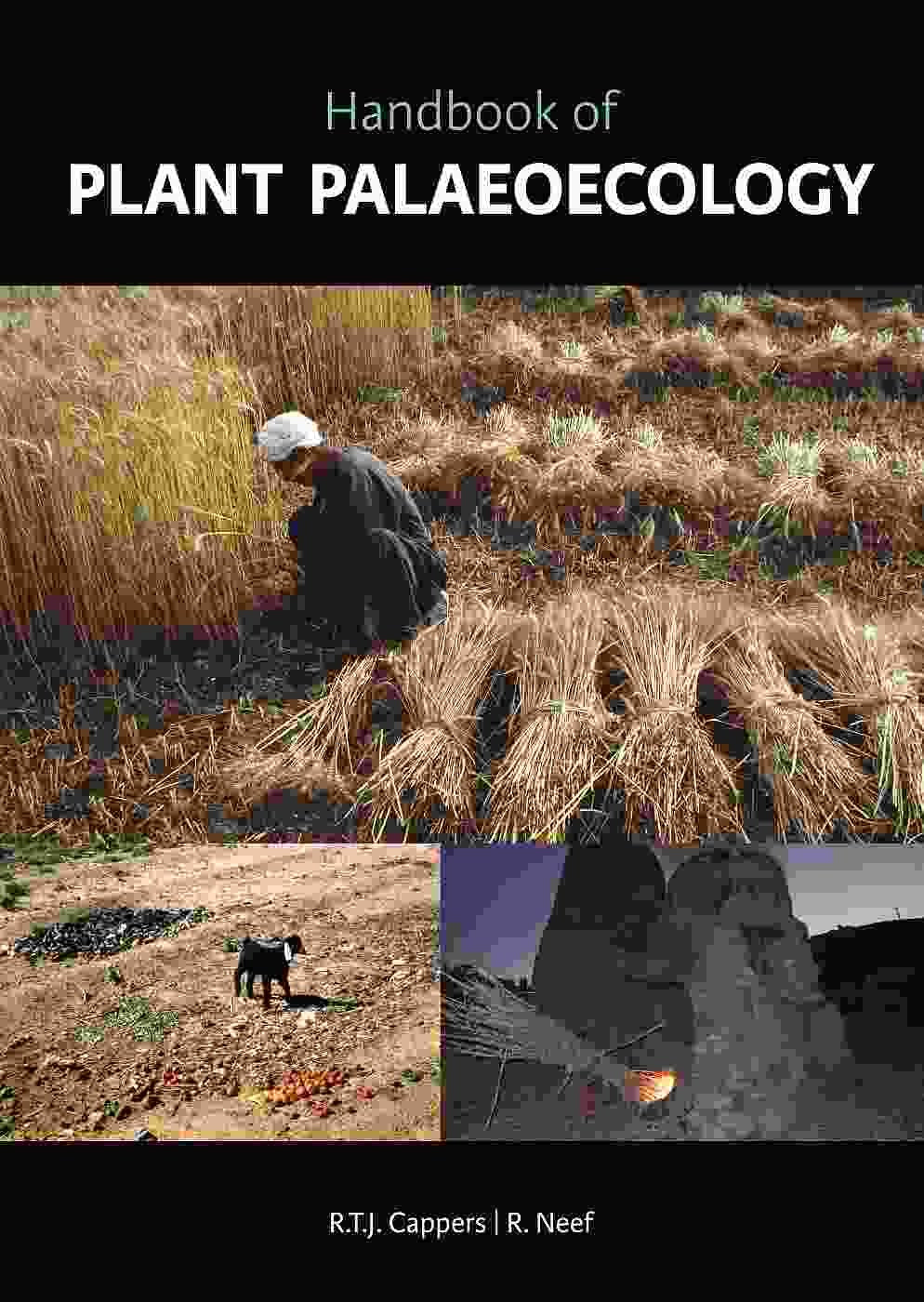 Handbook of Plant Palaeoecology book