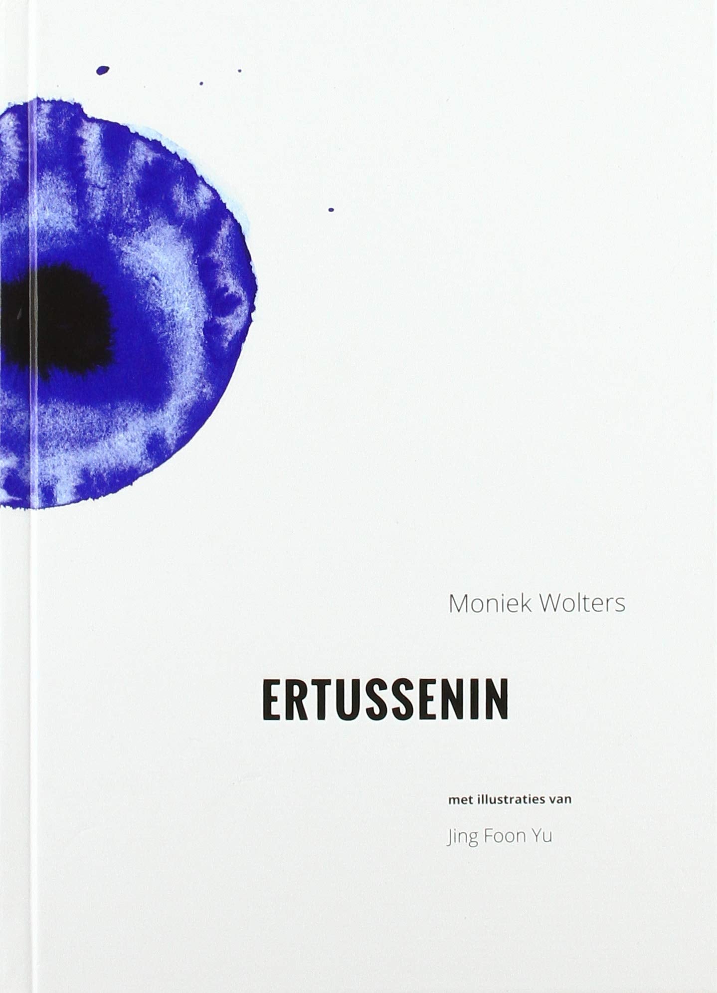 Ertussenin: Inspiratie voor de tussentijd bij veranderingen in werk en leven book