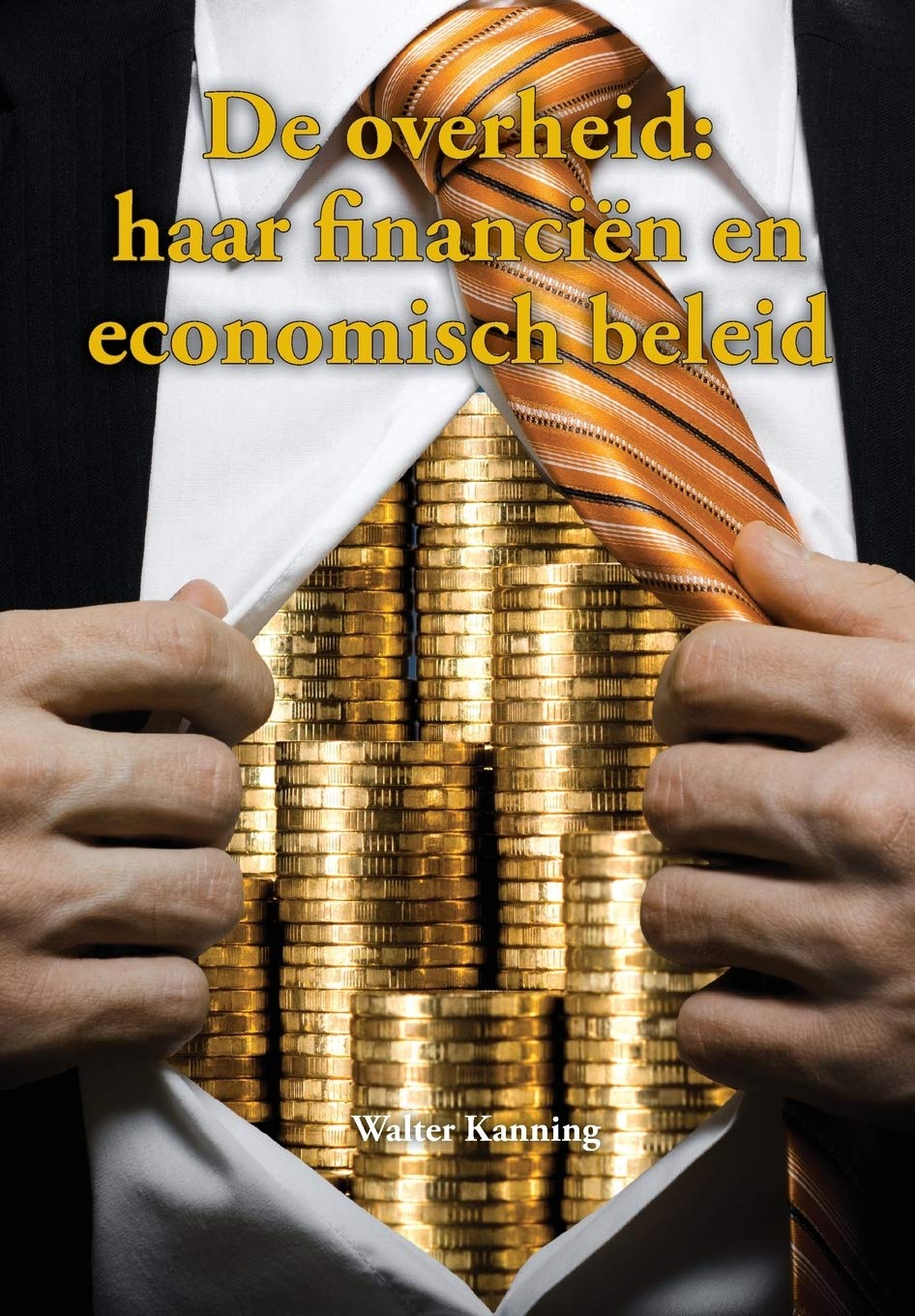De overheid: haar financiën en economisch beleid book