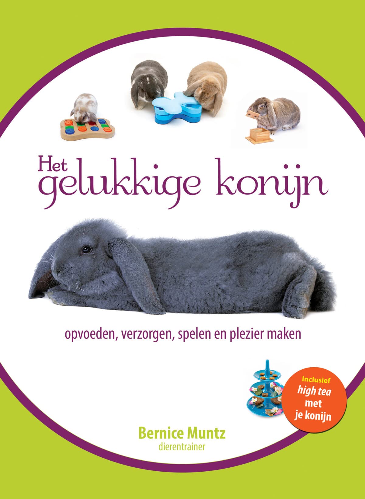 Het gelukkige konijn: opvoeden, verzorgen, spelen en plezier maken book