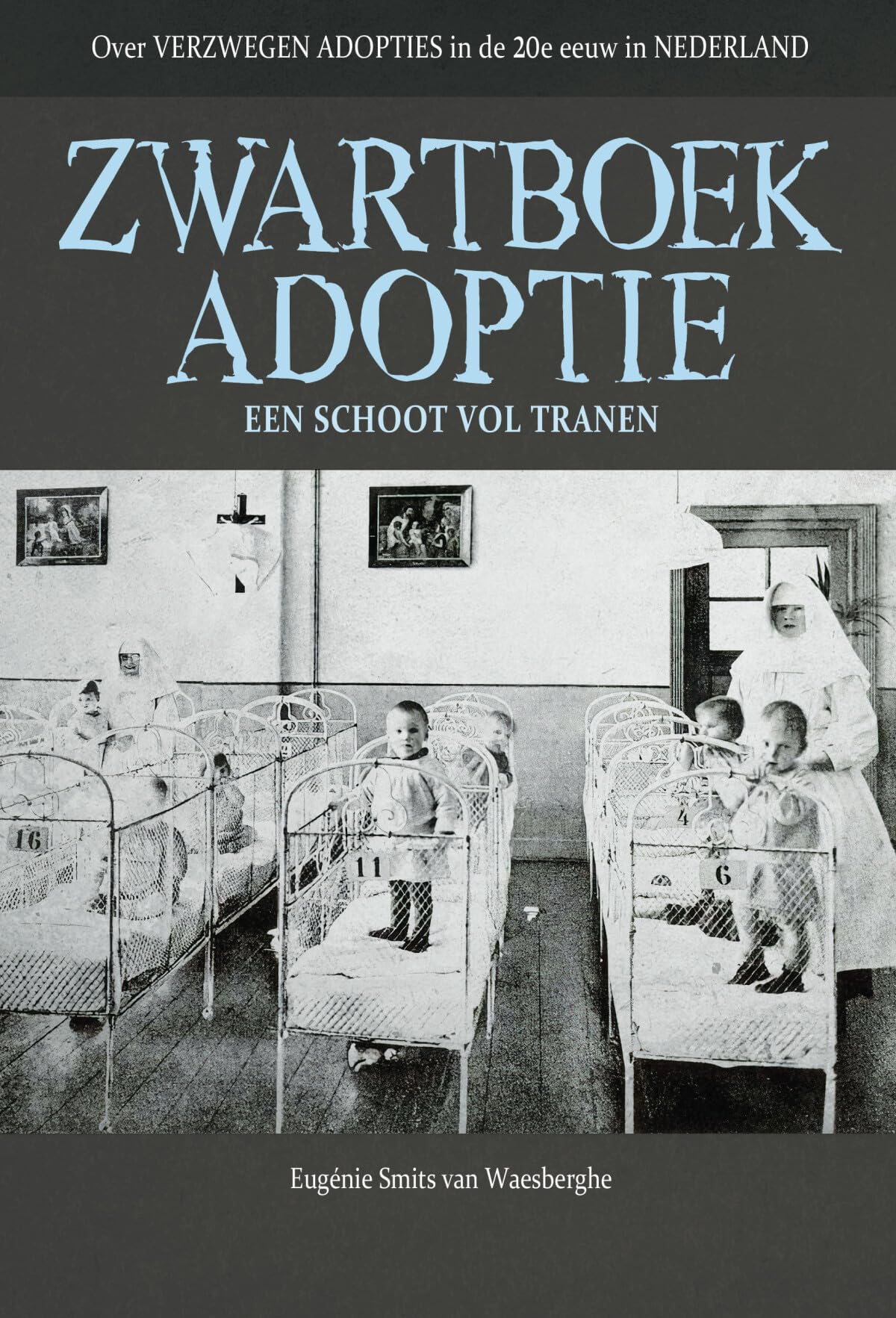 Zwartboek adoptie: een schoot vol tranen : verzwegen adopties in de 20ste eeuw in Nederland Law