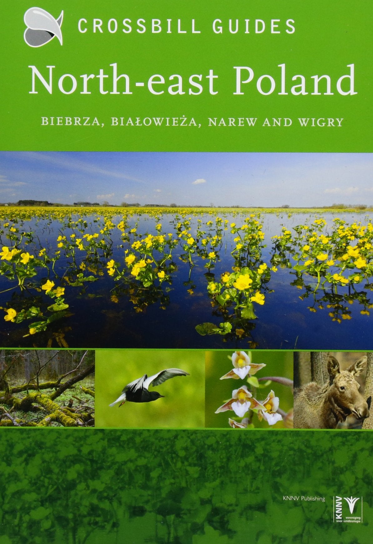 North-east Poland: Crossbill Guides: Biebrza, Bialowieza and Wigry (Crossbill guides, 13) Leisure, Home & Garden