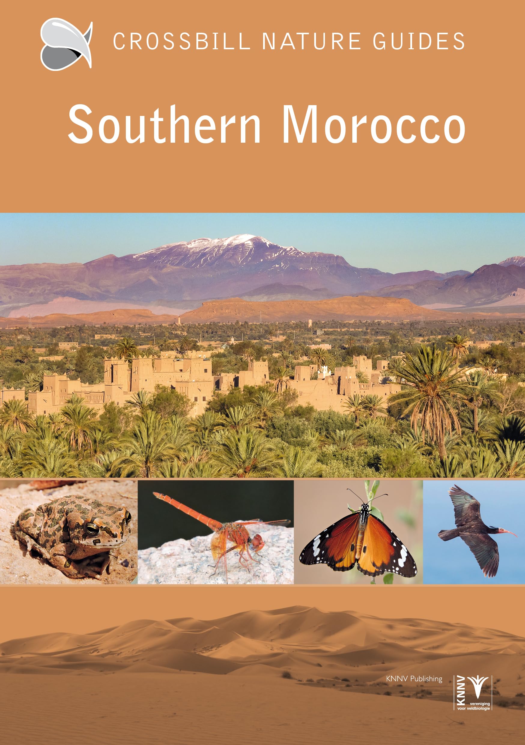 Southern Morocco Leisure, Home & Garden