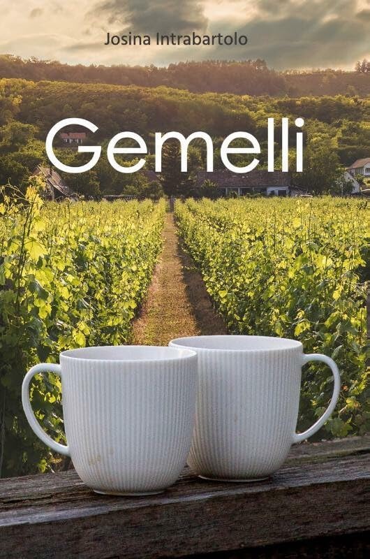 Gemelli: Roman over het leven van een Italiaanse gastarbeider tegen het sfeervolle decor van Sicilië International
