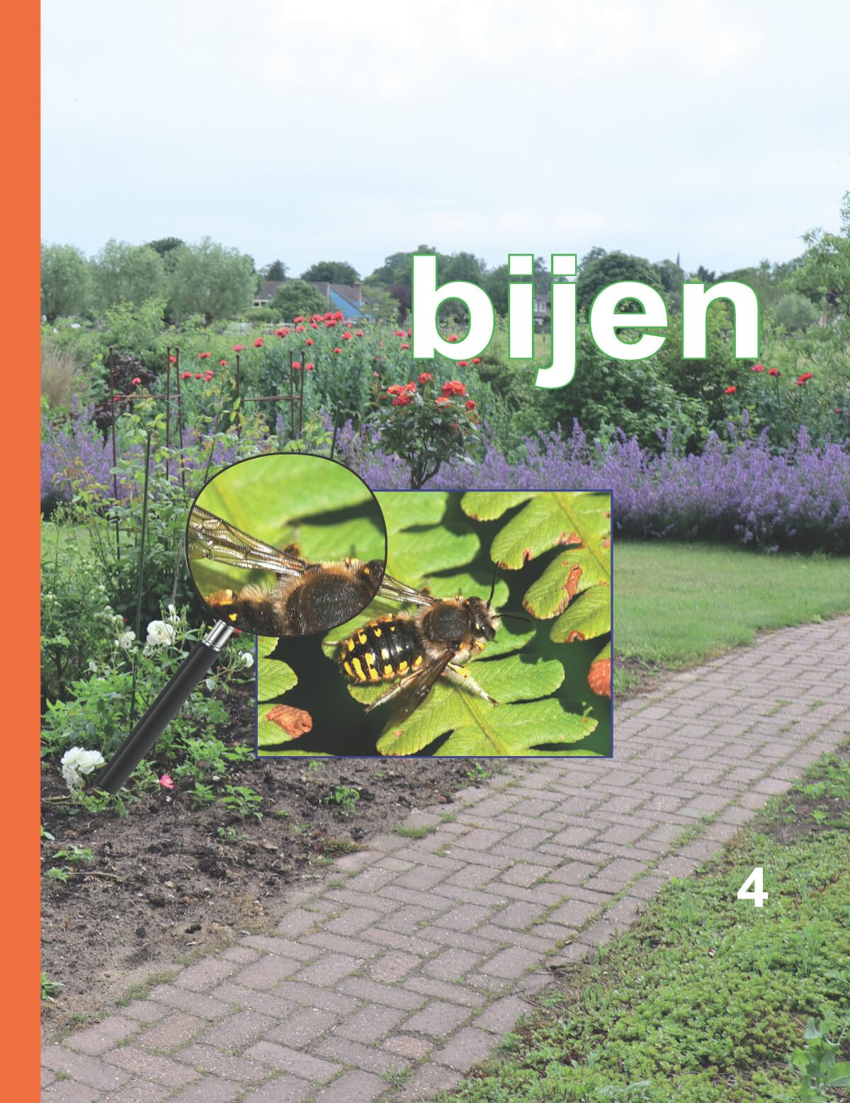 Bijen: natuurdagboek (Zelf gezien, 4) Leisure, Home & Garden