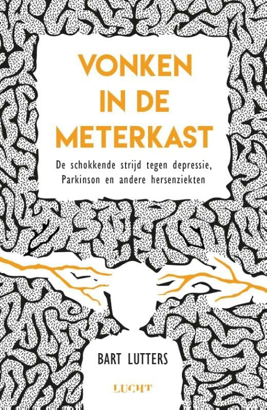 Vonken in de meterkast: de schokkende strijd tegen depressie, Parkinson en andere hersenziekten Medicine