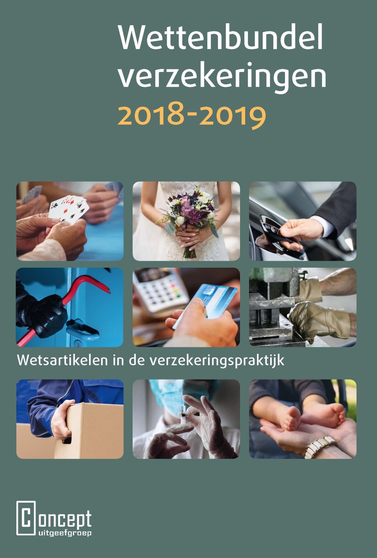 Wettenbundel verzekeringen 2018-2019: Wetsartikelen in de verzekeringspraktijk book