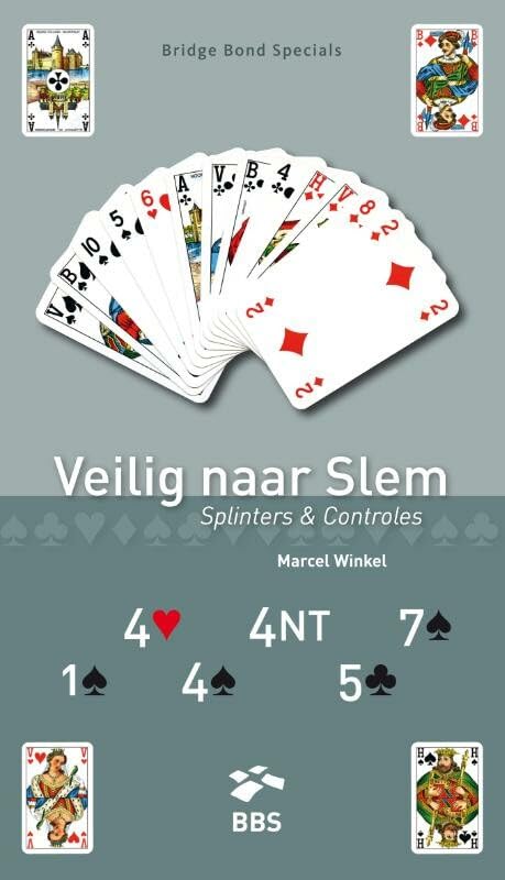 Veilig naar Slem: azen vragen, splinters en controles book