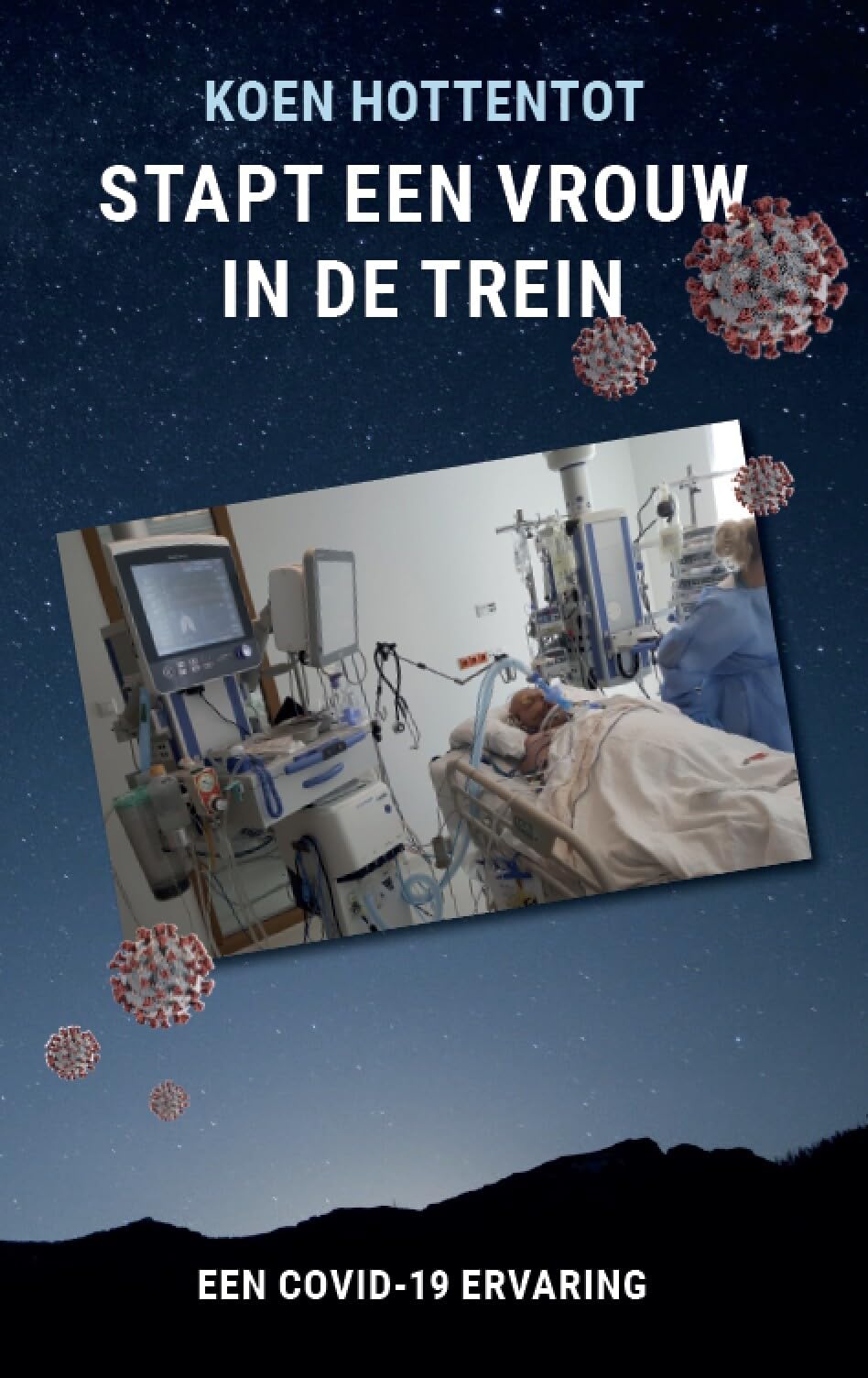 Stapt een vrouw in de trein: Een Covid-19 ervaring book